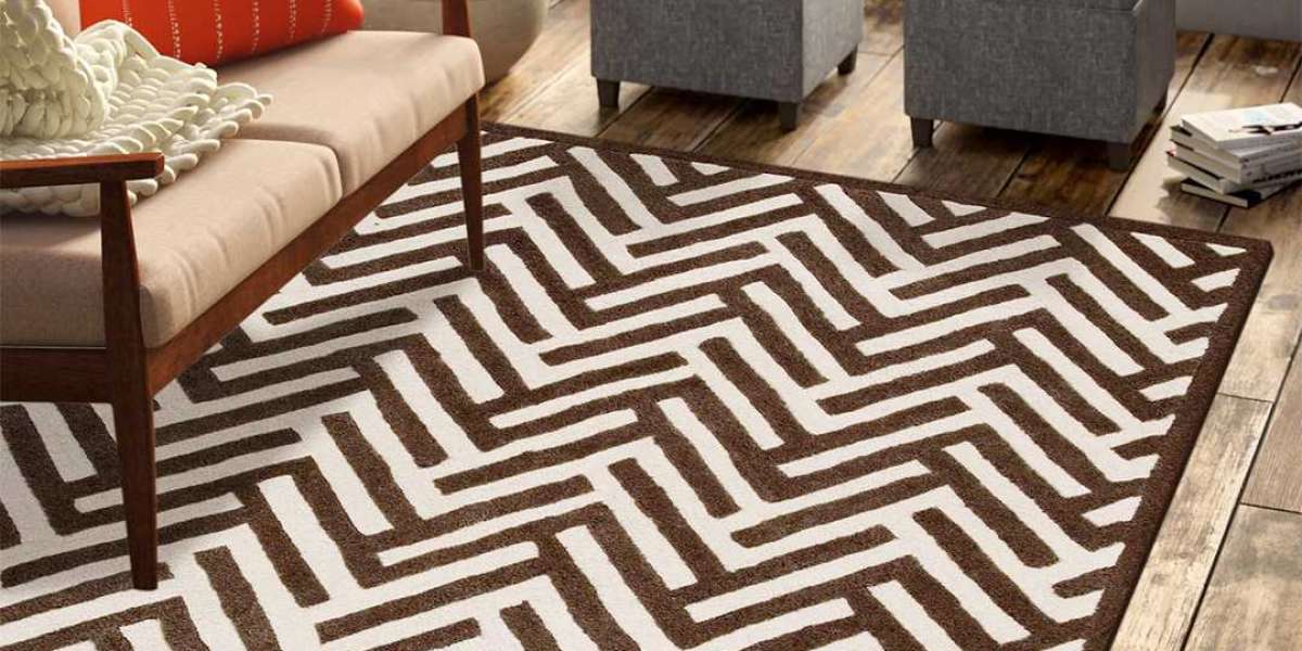 Border Area Rugs: Adding Definition and Elegance to USA Homes