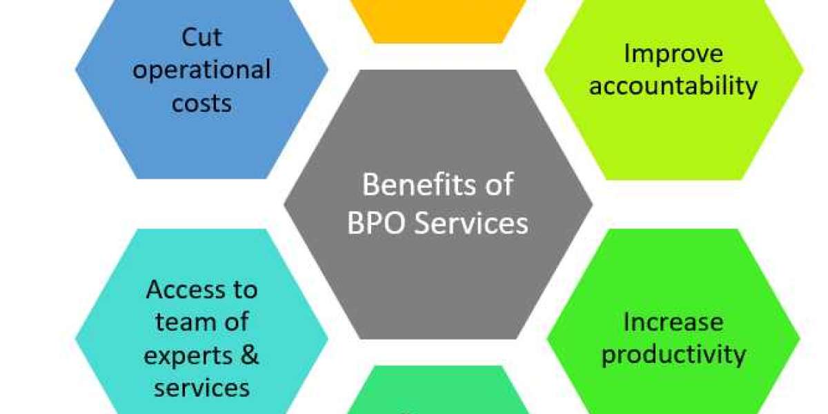 China Business Process Outsourcing Services Market - Qualitative Insights by 2032