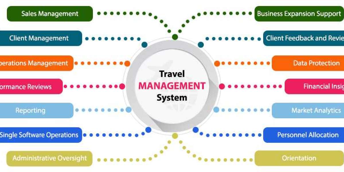 Charting the Course: Predictions for the Travel Management Software Market Over the Next Decade