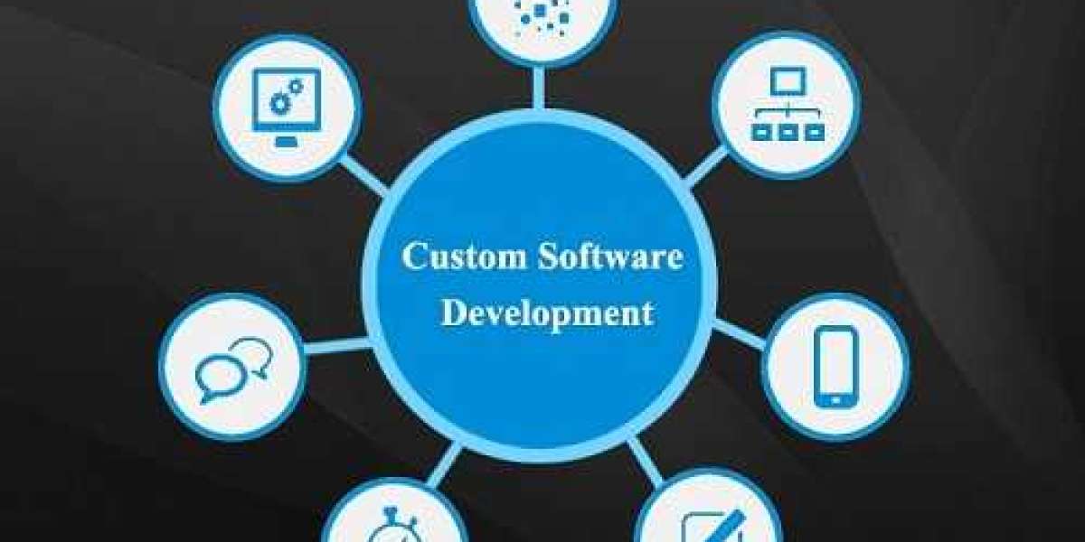 Custom Software Development Market Size, Share [2032]