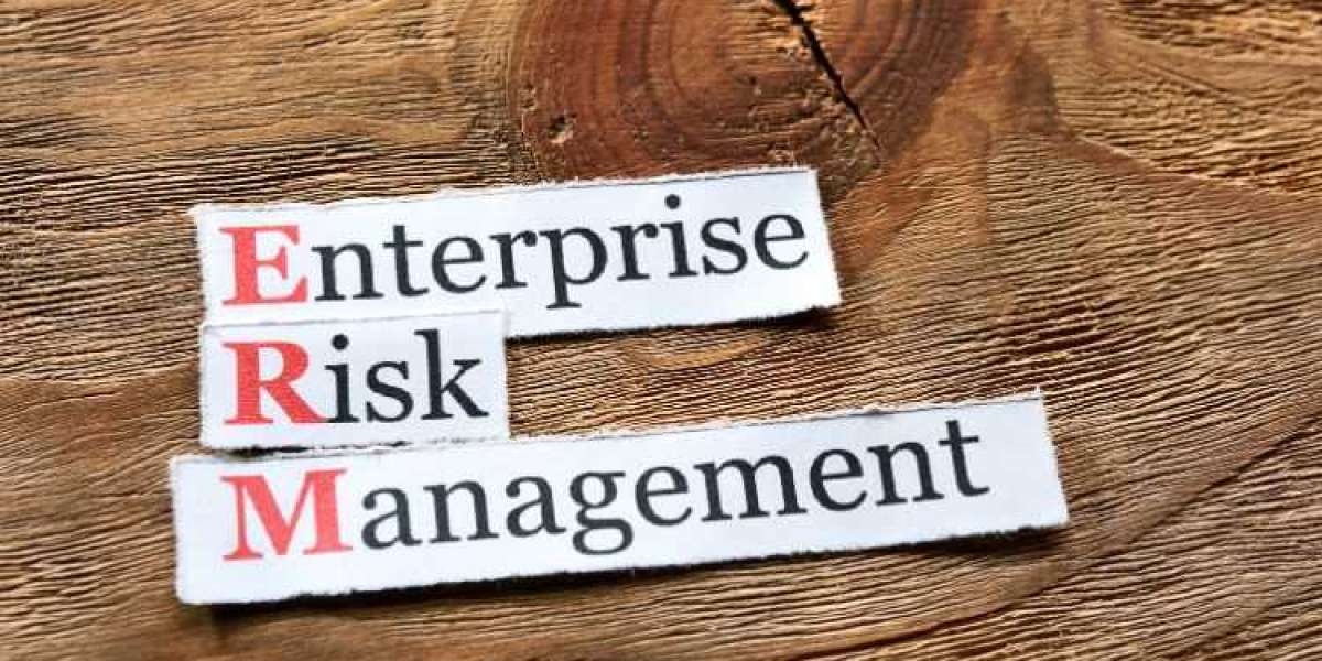 Enterprise Risk Management Market Size, Share & Growth