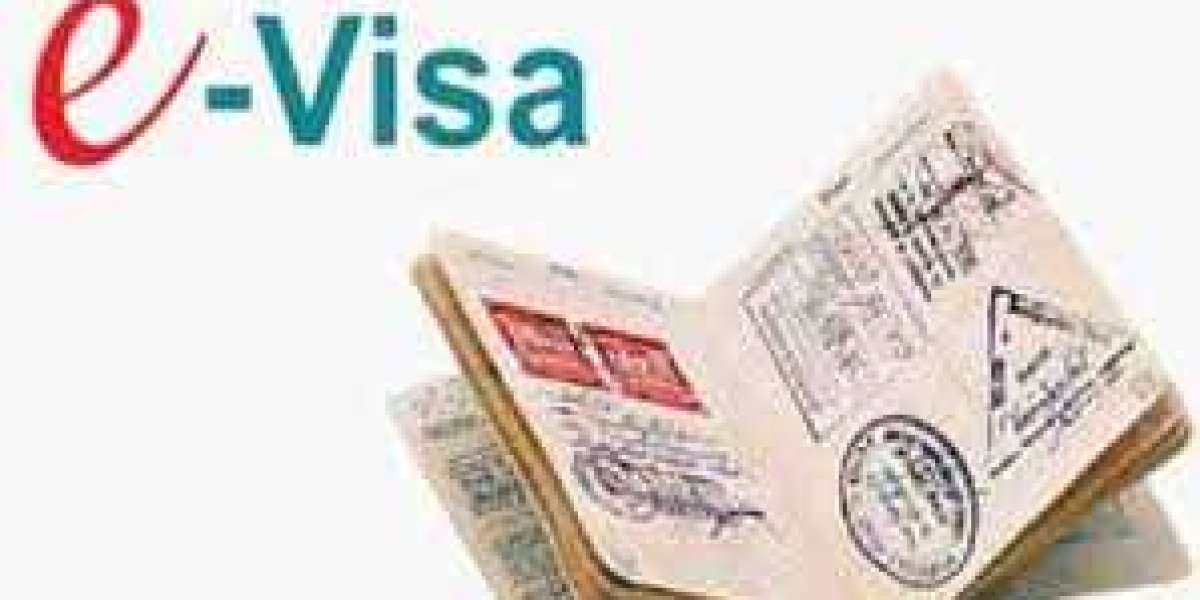 Unlocking Global Travel: E-Visa Trends for the Next Decade