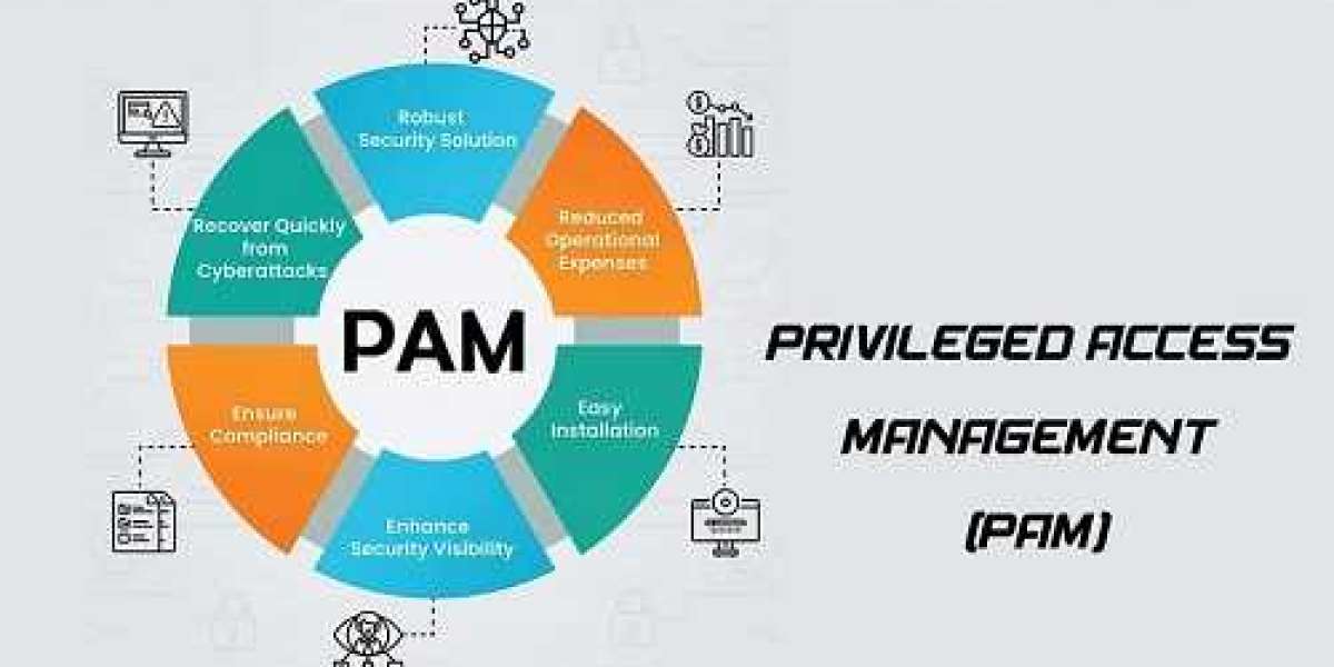Privileged Access Management (PAM) Solutions Market Size, Share | Statistics, 2024-2032