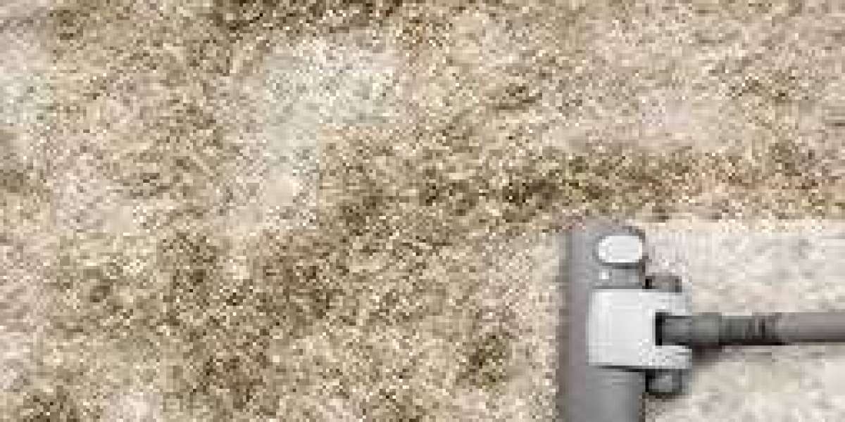 The Impact of Carpet Cleaning on Home Value
