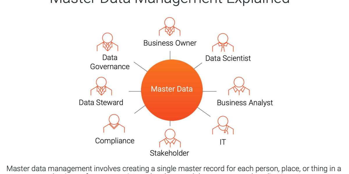 Harnessing Data Power: Master Data Management Strategies for 2024-2032