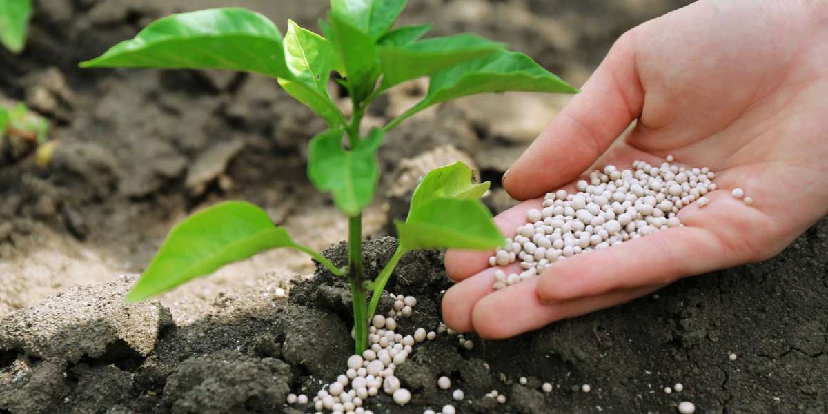 Fertilizers Market Size, Share, Growth Drivers, Key Expansion Strategies and Forecast by 2031
