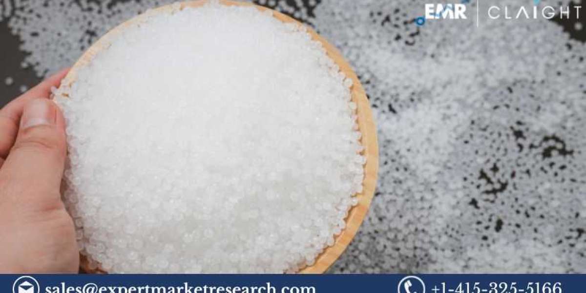 Unveiling the Future of Starch Blended Biodegradable Polymers: Market Analysis and Forecast 2024-2032