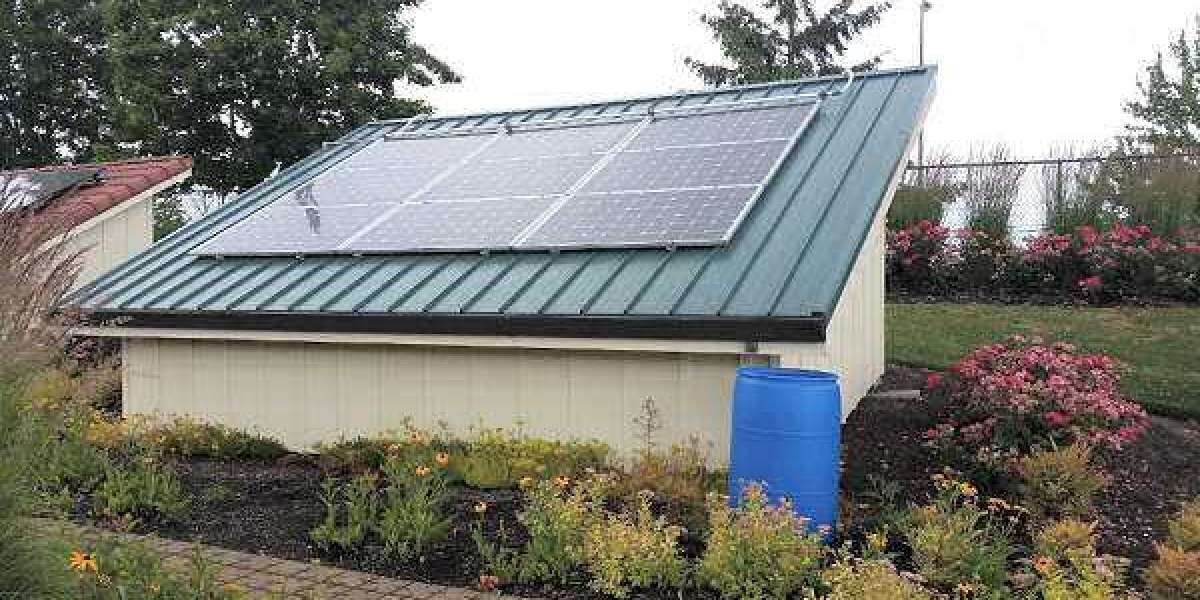 Embrace Green Energy with SunValue’s Solar Panel Setup