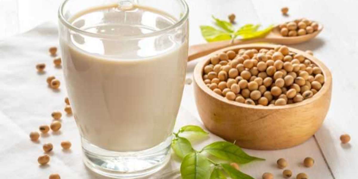 Soy Protein Market: Comprehensive Analysis and Future Outlook
