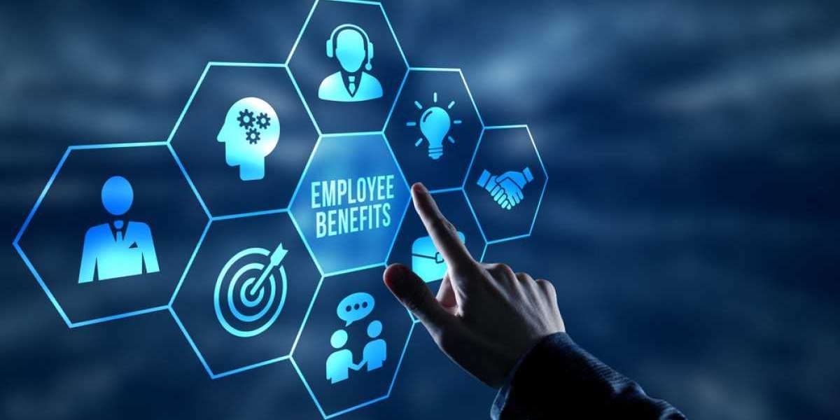 Employee Experience Management Market Growth Factors 2024-2032