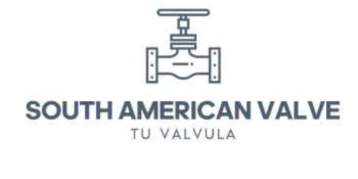 Check valve manufacturers in Brazil