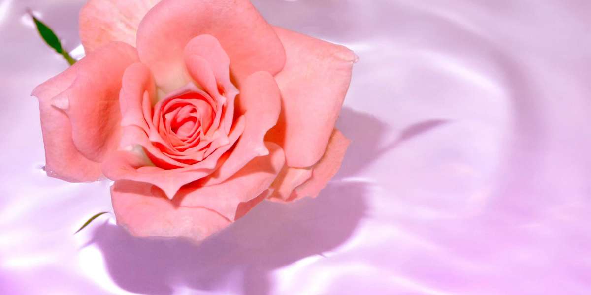 Rose Floral Water: Nature’s Gift for Skin and Soul