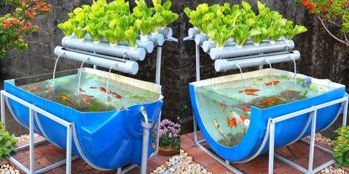 Aquaponics Market Demand Rises as Consumers Shift Towards Sustainable Agriculture