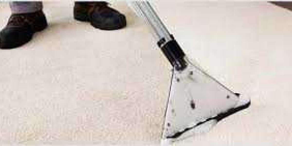 The Undeniable Benefits of Professional Carpet Cleaning for Every Home