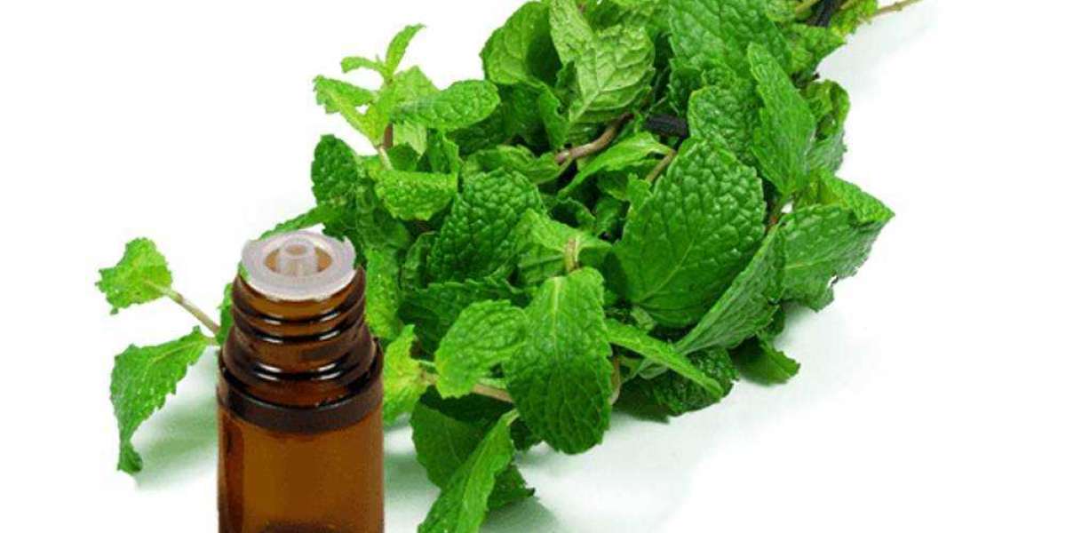 Everything You Need to Know About Bulk Peppermint Oil: Benefits, Uses, and Why You Should Consider Buying in Bulk