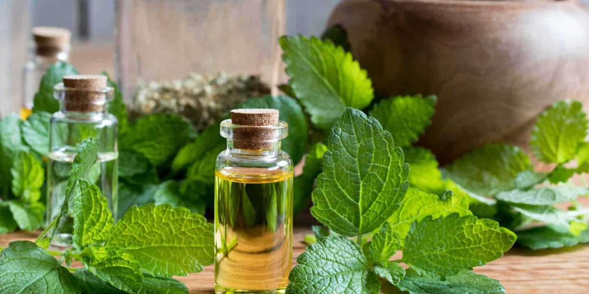 The Many Benefits of Patchouli Olie: Nature’s Secret for Skin and Well-Being