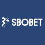 sbobetooo