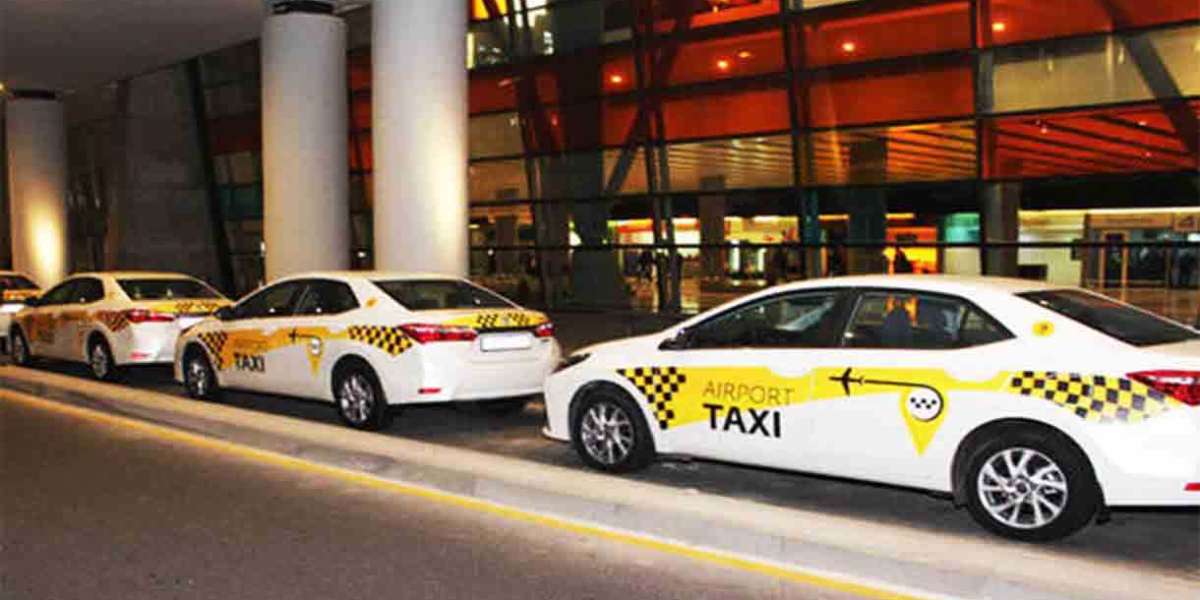 How to Locate Pet-Friendly Taxis in St. Thomas