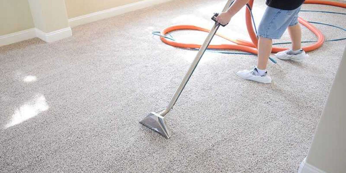 Professional Carpet Cleaning Services: Refresh Your Home Today!